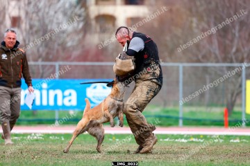 L_IMG_0032.jpg