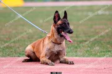 L_IMG_0040.jpg