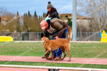 L_IMG_0042.jpg