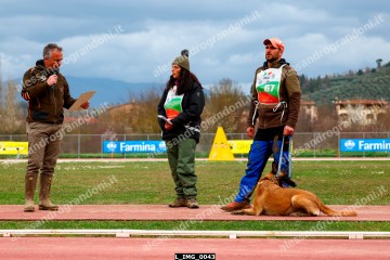 L_IMG_0043.jpg