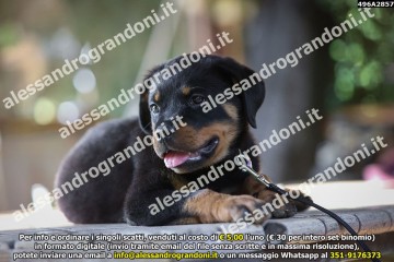 496A2857.jpg