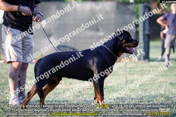_21A0048.jpg