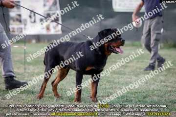 _21A0297.jpg