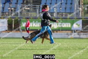 IMG_0010.jpg