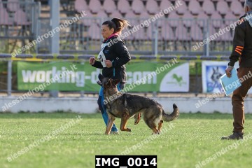 IMG_0014.jpg