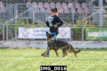 IMG_0016.jpg