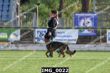 IMG_0022.jpg