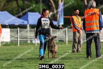 IMG_0037.jpg