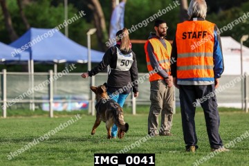 IMG_0041.jpg