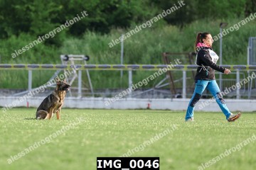 IMG_0046.jpg