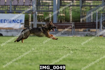 IMG_0049.jpg