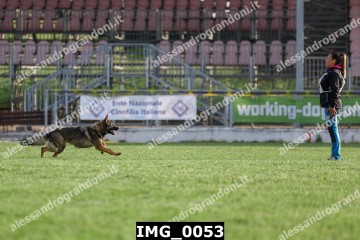 IMG_0053.jpg