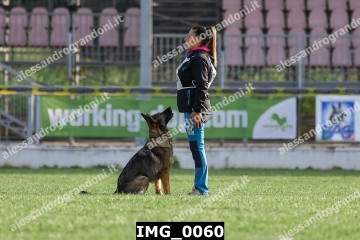 IMG_0060.jpg