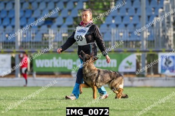 IMG_0072.jpg