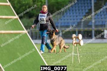 IMG_0077.jpg