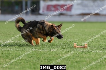 IMG_0082.jpg