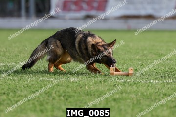 IMG_0085.jpg