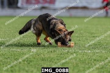 IMG_0088.jpg