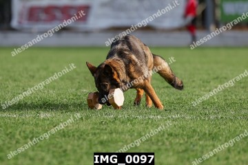 IMG_0097.jpg