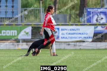 IMG_0290.jpg