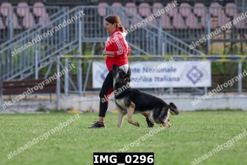 IMG_0296.jpg