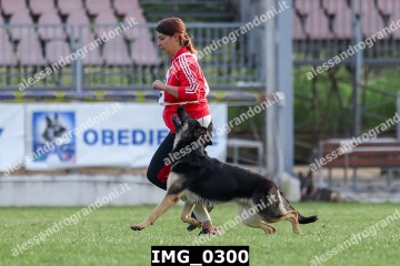 IMG_0300.jpg