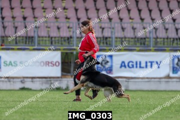 IMG_0303.jpg