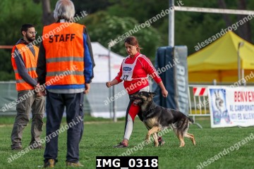 IMG_0318.jpg