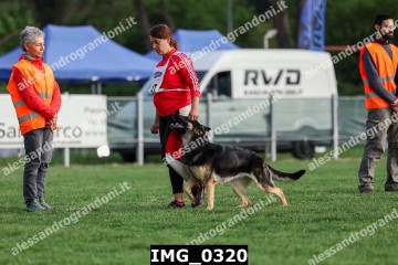 IMG_0320.jpg