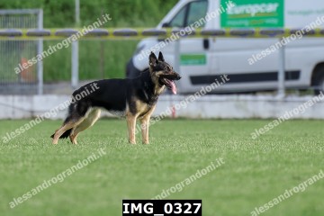 IMG_0327.jpg