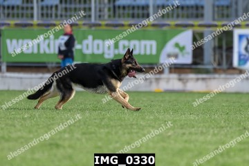 IMG_0330.jpg