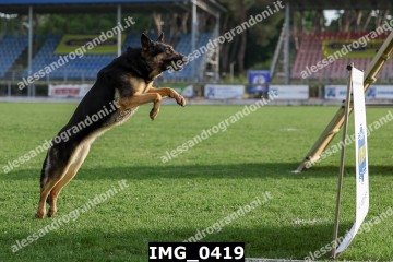 IMG_0419.jpg