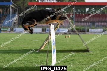 IMG_0426.jpg