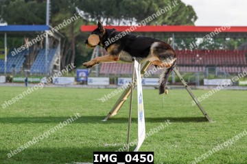 IMG_0450.jpg