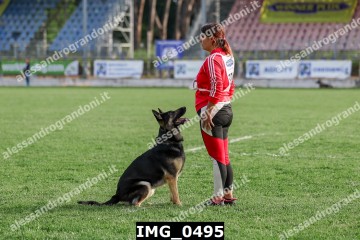 IMG_0495.jpg
