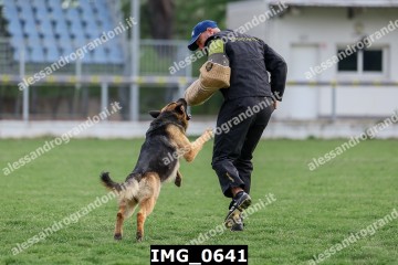 IMG_0641.jpg