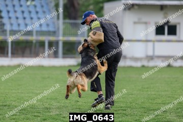 IMG_0643.jpg