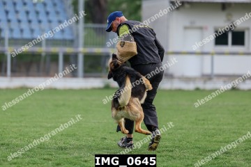 IMG_0645.jpg