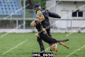 IMG_0650.jpg