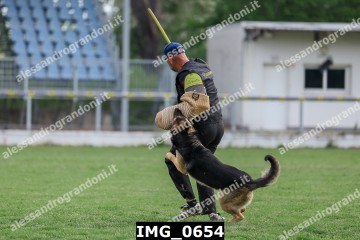 IMG_0654.jpg
