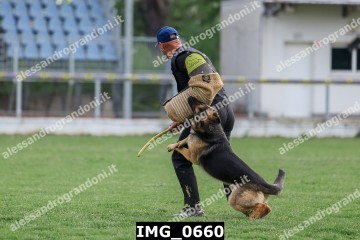 IMG_0660.jpg