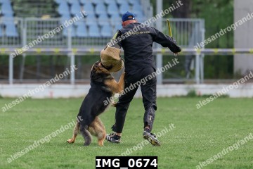 IMG_0674.jpg