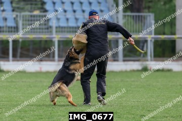 IMG_0677.jpg