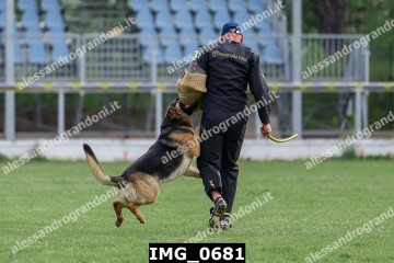 IMG_0681.jpg