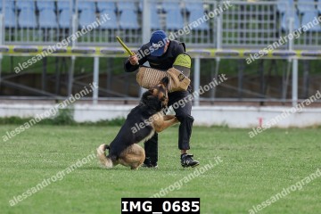 IMG_0685.jpg