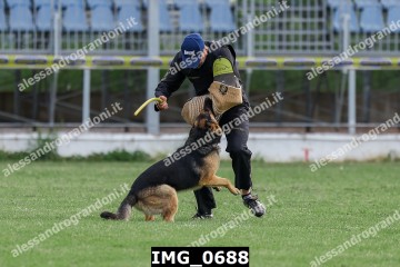 IMG_0688.jpg