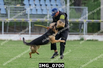 IMG_0700.jpg