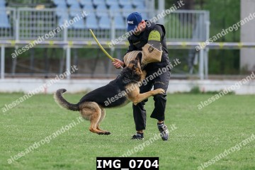 IMG_0704.jpg