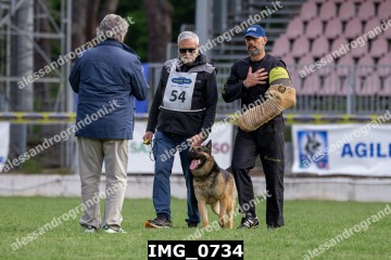 IMG_0734.jpg