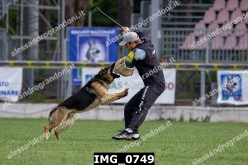 IMG_0749.jpg